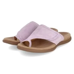 Gabor Zehentrenner - Violett